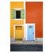 Fotografie Yellow and Orange Neighbors, April30, 26.7 × 40 cm