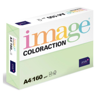 Coloraction A4 160 g 250 ks - Jungle/pastelově sv.zelená