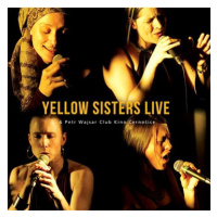 Yellow Sisters & Wajsar Petr: Live - Club Kino Černošice - CD