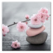 Obraz Styler Glasspik Spa & Zen Pink Stone, 30 x 30 cm