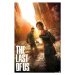 Plakát The Last of Us