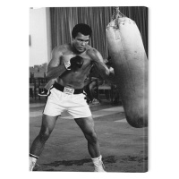 Obraz na plátně Muhammad Ali - Punch Bag, 4 - 60×80 cm