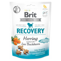 Pochoutka Brit Care Dog Functional Snack Recovery Sleď 150g