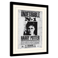Obraz na zeď - Harry Potter - Nežádoucí č.1, 34.3x44.5 cm