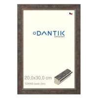 DANTIK rámeček 20 × 30, TOMAS šedý sklo čiré