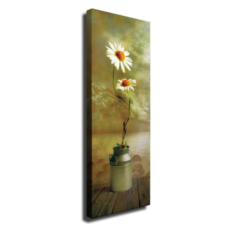 Wallity Obraz na plátně Daisy dream PC164 30x80 cm