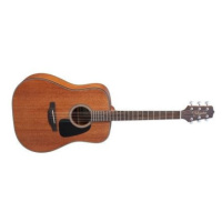 Takamine GD11M Natural Satin