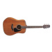 Takamine GD11M Natural Satin