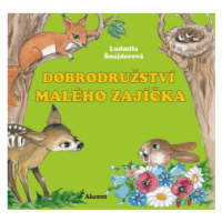 Dobrodružství malého zajíčka - Ludmila Šnajderová