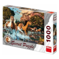Secret collection puzzle: Koně 1000 dílků