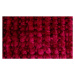 BO-MA koberce Koupelnová předložka Ella micro červená - 50x80 cm