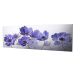 Wallity Obraz na plátně Violet beauty PC028 30x80 cm