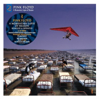 Pink Floyd: A Momentary Lapse Of Reason (2019 Remix) - CD