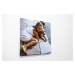 Expresní tisk - fotoobraz 40x40 cm z vlastní fotografie, Plátno 100% bavlna: Premium Canvas 390g