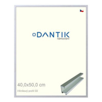 DANTIK rámeček 40 × 50, ALU profil 7003 Stříbrný matný sklo čiré