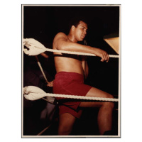 Fotografie Muhammad Ali, 30x40 cm