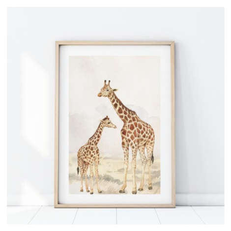 Plakát s motivem dvou žiraf