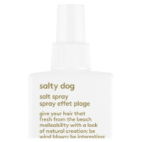 EVO Salty dog salt spray 200ml gf