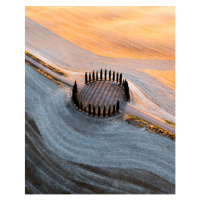 Fotografie Country road and cypresses grove, Tuscany, Italy, Marco Bottigelli, 30 × 40 cm