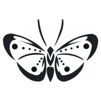 Samolepící dekorace Motýl 2