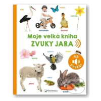 Zvuky jara - kniha z kategorie Pro děti