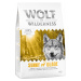 Wolf of Wilderness Adult - set balení na vyzkoušení - 4 druhy: losos, zvěřina, kachna, jehněčí (