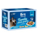 Brit Premium Cat D Fillets in Gravy Family Plate 1020g (12x85g)