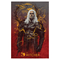Plakát, Obraz - The Witcher - Geralt the White Wolf, (61 x 91.5 cm)