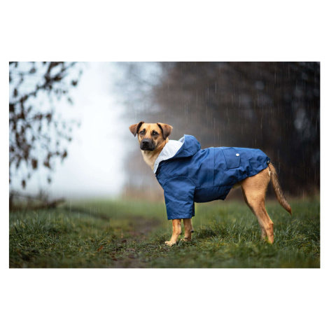 Vsepropejska Riska pláštěnka pro psa Barva: Modrá, Délka zad (cm): 30, Obvod hrudníku: 38 - 42 c