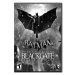 Batman: Arkham Origins Blackgate - Deluxe Edition