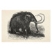 Ilustrace Engraving of extinct woolly mammoth from 1872, Grafissimo, 40 × 26.7 cm