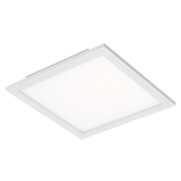 Briloner Briloner 7191-016 - LED Stropní svítidlo SIMPLE LED/12W/230V