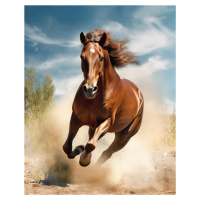 Obrazy na stěnu - Kůň v plné rychlosti Rozměr: 40x50 cm, Rámování: vypnuté plátno na rám