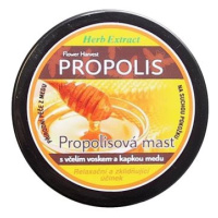 VIVACO Bylinná mast s propolisem 100 ml