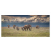 Fotografie Amboseli wonderland, Jeffrey C. Sink, 50 × 23.1 cm