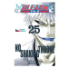 Bleach 25: No Shaking Throne