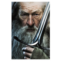 Plakát, Obraz - Pán Prstenů - Gandalf and Glamdring, (61 x 91.5 cm)