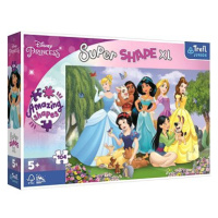 Trefl Puzzle Super Shape XL Disney princezny: V zahradě 104 dílků