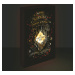 Harry Potter obraz LED svítící 30x40 cm - Pobertův plánek - EPEE