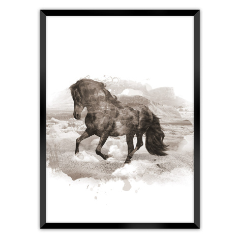 Dekoria Plakát Horse, 70 x 100 cm, Volba rámku: Černý