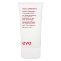 EVO Mane Attention Protein Treatment 150 ml