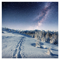 Fotografie starry sky in winter snowy night., standret, (40 x 40 cm)