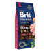 Brit Premium by Nature Junior L 15 kg