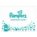 Pampers Premium Care vel. 5 11–16 kg dětské pleny 148 ks