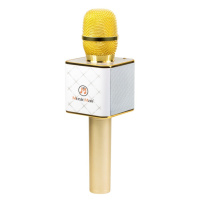 Technaxx Karaoke mikrofon BT-X31
