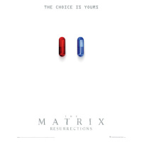 Plakát, Obraz - The Matrix: Resurrections - The Choice is Yours, (61 x 91.5 cm)