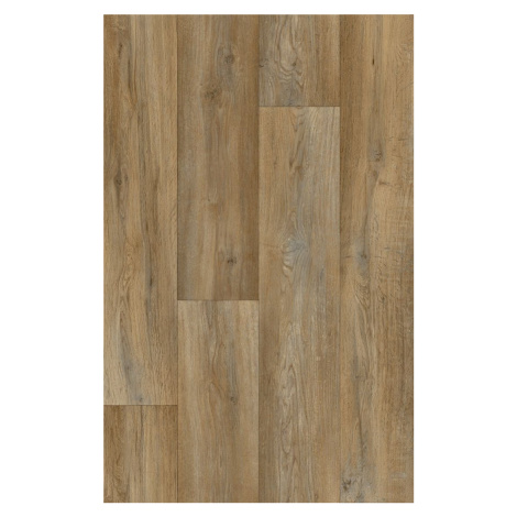 Beauflor PVC podlaha Ambient Silk Oak 603M - dub - Rozměr na míru cm