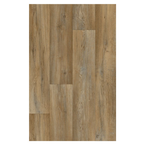 Beauflor PVC podlaha - lino Ambient Silk Oak 603M - dub - Rozměr na míru cm