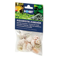 Hobby Sea Shells Set M 10ks- dekorace do akvária