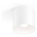 Wever & Ducré Lighting WEVER & DUCRÉ Ray PAR16 stropní svítidlo bílé barvy
